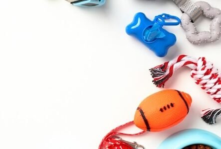 Dog Toys
