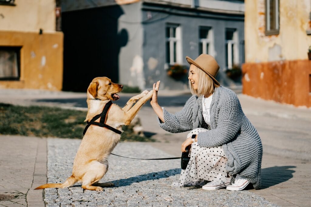 girl, dog, pet, friendship, companion, owner, caucasian, blonde, caucasian female, blonde female, canine, domestic dog, doggy, happy, animal, love, woman, cute, puppy, dog, dog, nature, dog, dog, dog