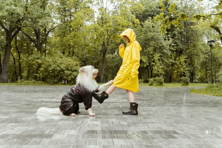 A person in a yellow raincoat plays with a dog on a rainy day in a park.